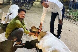 पशुओं का रेस्क्यू (Rescuing Animals)