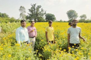 फूलों की खेती ( Flower Farming) कर लाभ कमा रहे हैं ललित कुमावत