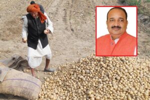 आलू बीज (Potato Seed)