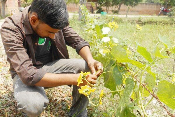 विद्यार्थी पढ़ाई के साथ ही उद्योग लगाने की सोचें