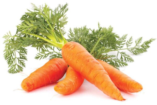 गाजर (Carrot) के बीज तैयार करें