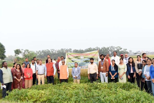 Groundnut Farming :   रेज्ड बेड पद्धति से मूंगफली की खेती