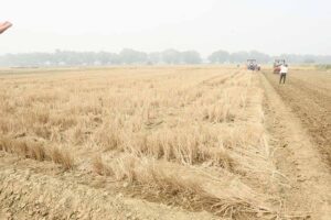 नर्मदापुरम में पराली जलाने (Stubble Burning) पर पूरी तरह प्रतिबंध