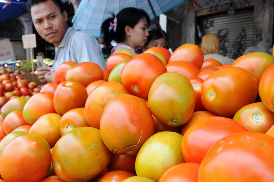 टमाटर (Tomato) के दामों में हुई गिरावट