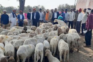 पशुपालकों (Cattle Farmers)