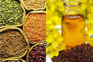 दलहनतिलहन (Pulses and Oilseeds)