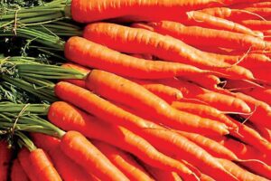 गाजर (Carrots) के फायदे