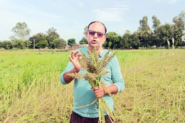 जैविक खेती (Organic Farming)