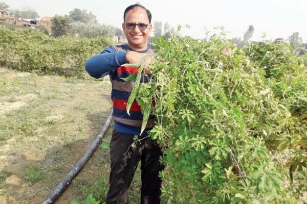 वकालत का पेशा छोड़ जैविक खेती से तरक्की करता किसान