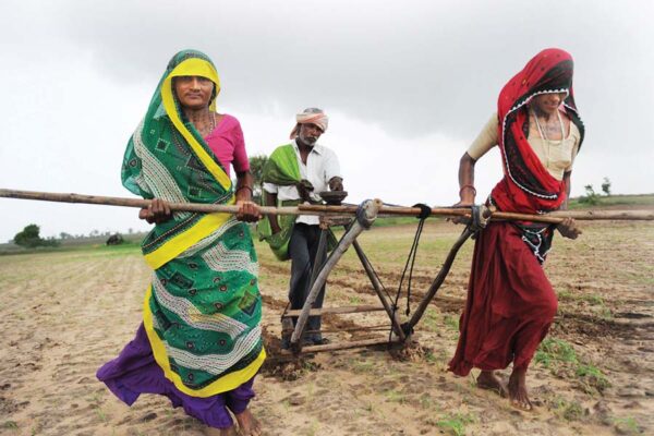 खेती में भरपूर काम फिर भी महिला किसान होने का नहीं सम्मान