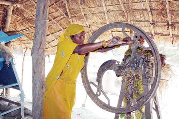 महिला किसान (Woman Farmer)