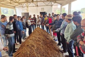 हकृवि में मशरूम (Mushroom) उत्पादन तकनीक पर प्रशिक्षण कार्यक्रम