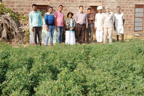 मैथी (Fenugreek)