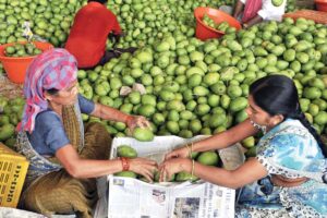 आम (Mango)