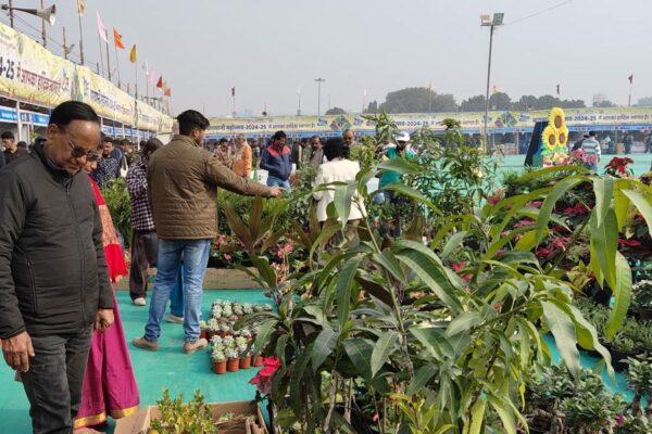 gardening festival