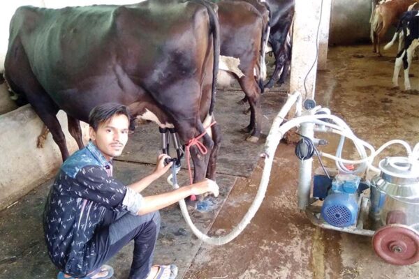 दुधारू पशुओं की प्रमुख बीमारियां और उन का उपचार