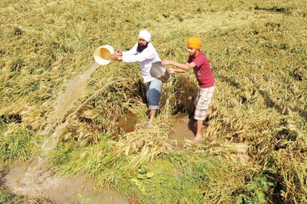 crop insurance scheme