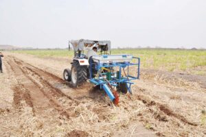 सोर्फ मशीन (Machine) से गन्ने (sugarcane) की अच्छी पैदावार