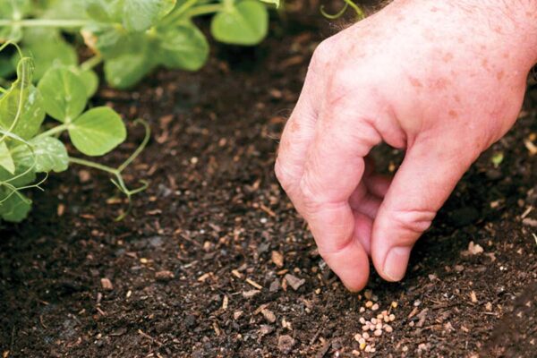 कृषि विविधीकरण (Agricultural diversification)