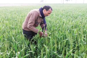 खेती के काम (Farming Tasks)