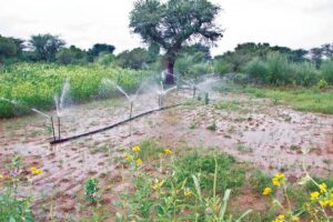  Micro-Irrigation