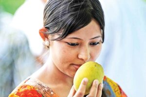 Mango : आम से अच्छी उपज के लिए उगाएं ये प्रजातियां